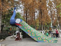 -成飞公园