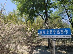 -老君堂公园