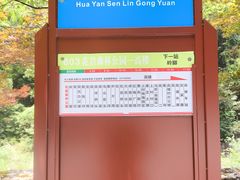 -花岩国家森林公园