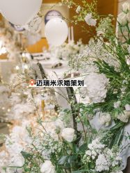 -迈瑞米求婚策划(静安店)