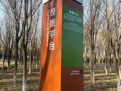 -东郊湿地公园