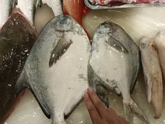 -潮人姐妹轩(海宁路店)
