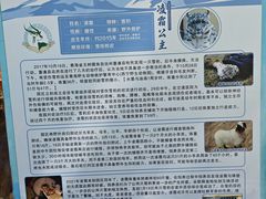 -青藏高原野生动物园