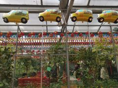 -南宫五洲植物乐园