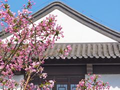 -莫愁湖公园