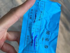 -朝阳公园游乐园