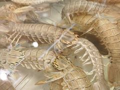 -山海经·海边人家 海鲜新青岛菜(扬州路店)