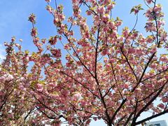-白塘生态植物园