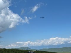 -新疆那拉提国家旅游度假区