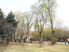 -中国建设银行哈尔滨培训中心