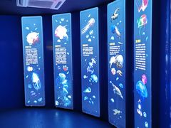 -青岛海底世界-水族馆