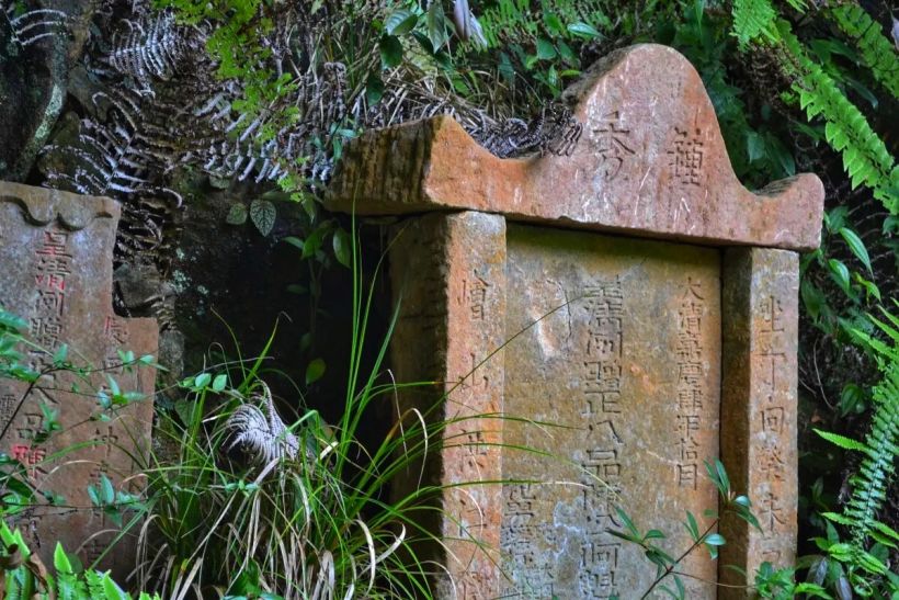 【記50】武夷山旁還有一座龍井山,小眾好玩別錯過