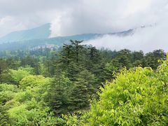 -峨眉山风景名胜区