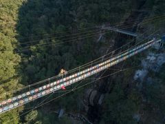 -九龙江国家森林公园