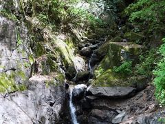 -藏龙百瀑风景区