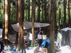 -武陵山森林公园