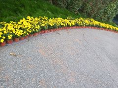 -雪山彩虹谷景区