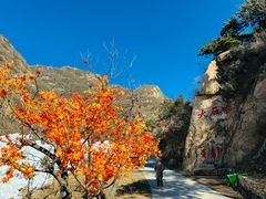 -遵化市禅林寺古银杏风景园