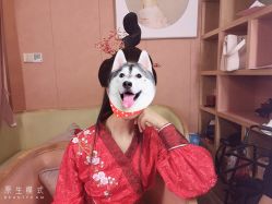 -盘子女人坊古装写真摄影(南京总店)