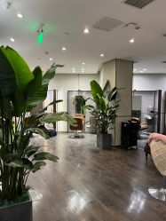 -崇尚GAVIN STYLE臻选