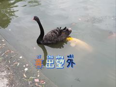 -上海交通大学闵行校区-包玉刚图书馆