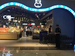 门面-盒马鲜生(皇庭广场店)