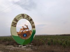 -御道口草原森林风景区
