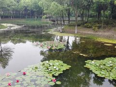 -尚贤河湿地