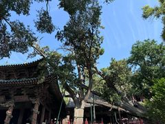 -晋祠公园
