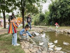 -HERRE·FARM 赫尔露营农场·团建聚会包场