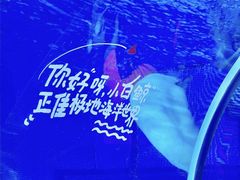 -正佳极地海洋世界