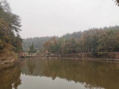 -韶山毛泽东同志故居