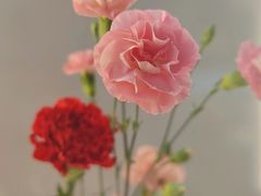 -峰厨大鱼泡饼(西青大学城店)