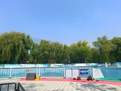 -青年湖公园水上世界