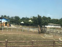 -西安秦岭野生动物园