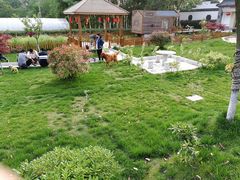 -龙湖东院农庄(乡间小路店)