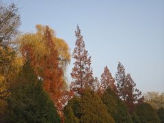 -晋祠公园