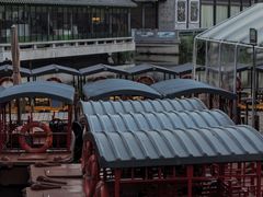 -荔湾湖公园