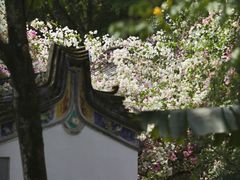 -深圳国际园林花卉博览园