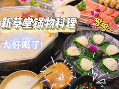 -新草堂锅物料理(泉城路店)