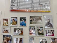 -瑞派康怡24h宠物医院·犬猫医疗中心·微创绝育(瑞景分院)
