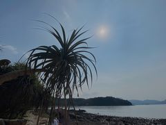 -坝光海滩
