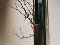 -小隐人家(乐松店)