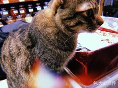 -么凤(波斯富街店)