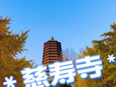 -玲珑塔公园