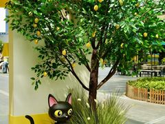 -东莞松山湖万象汇