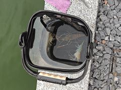 -DGE季风钓虾营地·团建·聚会