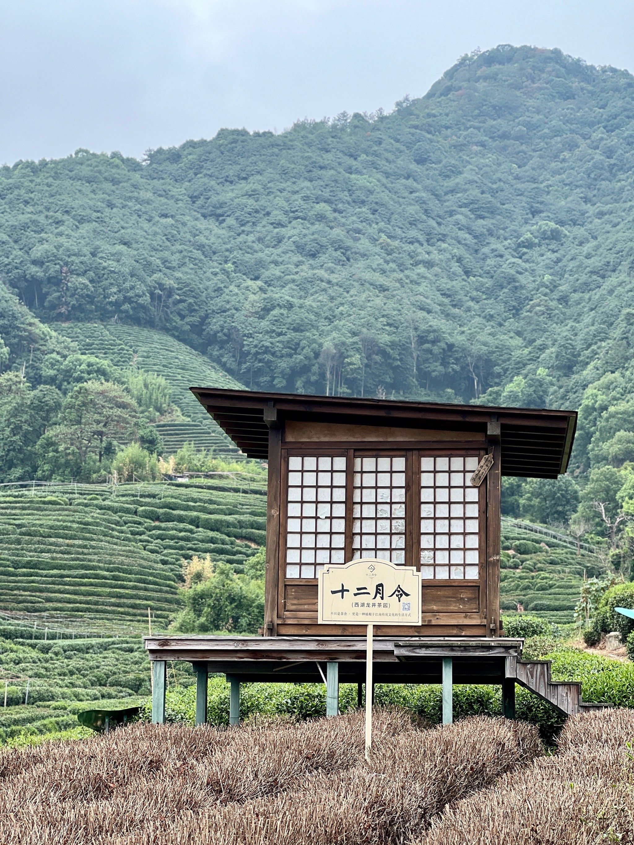 在外桐坞茶园看到了十二月令的网红小屋,果然是风景绝佳处,难怪会火