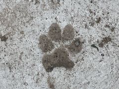 -嘉北郊野公园