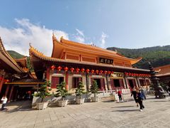 -深圳仙湖植物园-停车场